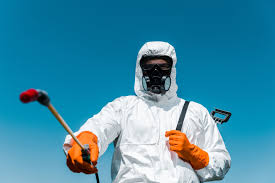 Best Termite Inspection and Treatment  in Perry, LA